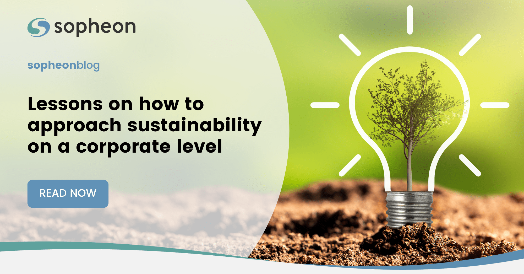 Lessons on how to approach sustainability on a corporate level