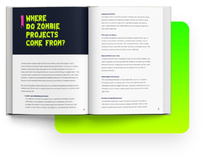 WS_Ebook_PurgingZombieProjectsPortfolioAuditHowTo_Ebook_LP_Sec3B_R1.0@1.75@1.75x